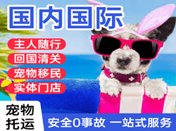 甘孜格萨尔航空运输国际宠物托运 【国